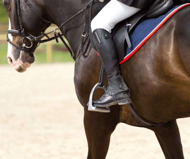 ¿Por qué es importante que la mantilla para doma se ajuste bien al dorso del caballo?