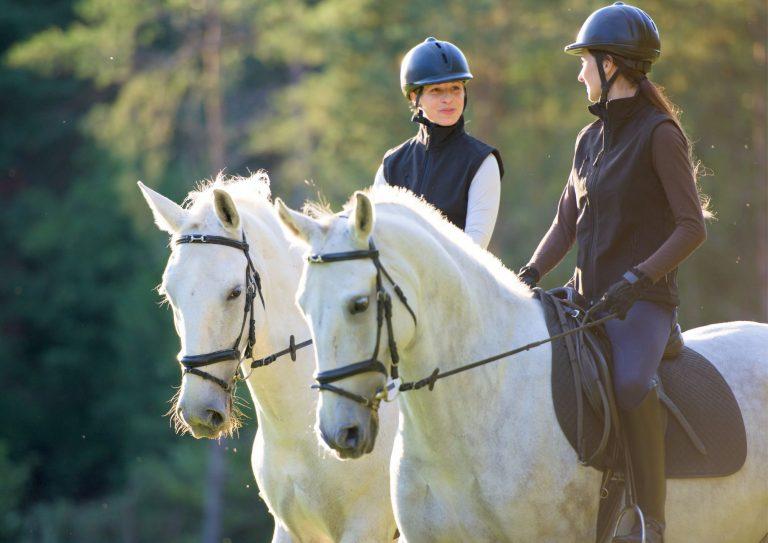 Sudaderos para caballo: Cal Rei, tu tienda especializada en equitación