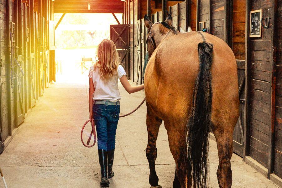 chica pasea junto a su caballo