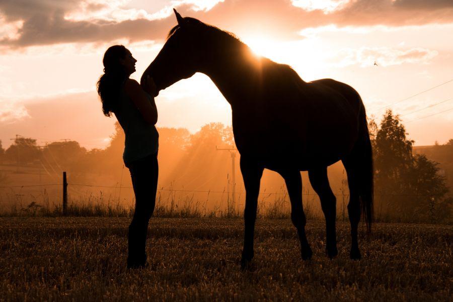 foto a contraluz de una chica acariciando a su caballo