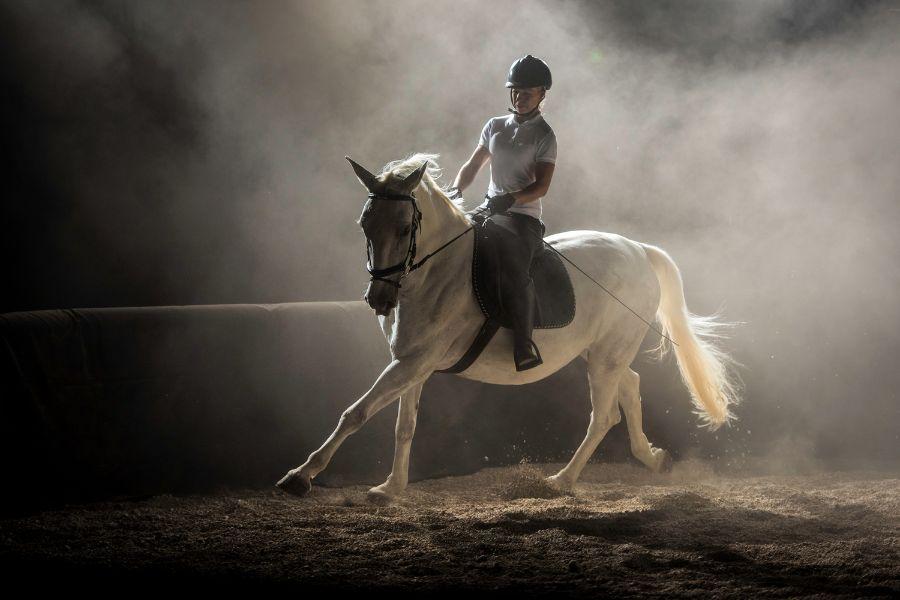 foto a contraluz de jinete con su caballo